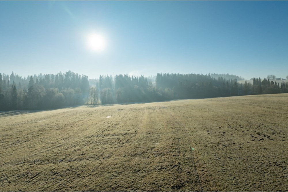 Działka - Sprzedaż - Maruszyna, Polska - 20251119-DJI_0449-HDR.jpg - 800091009-306