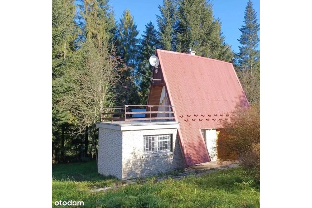 Działka - Sprzedaż - Skawa, Polska - image.jpg - 800091056-3