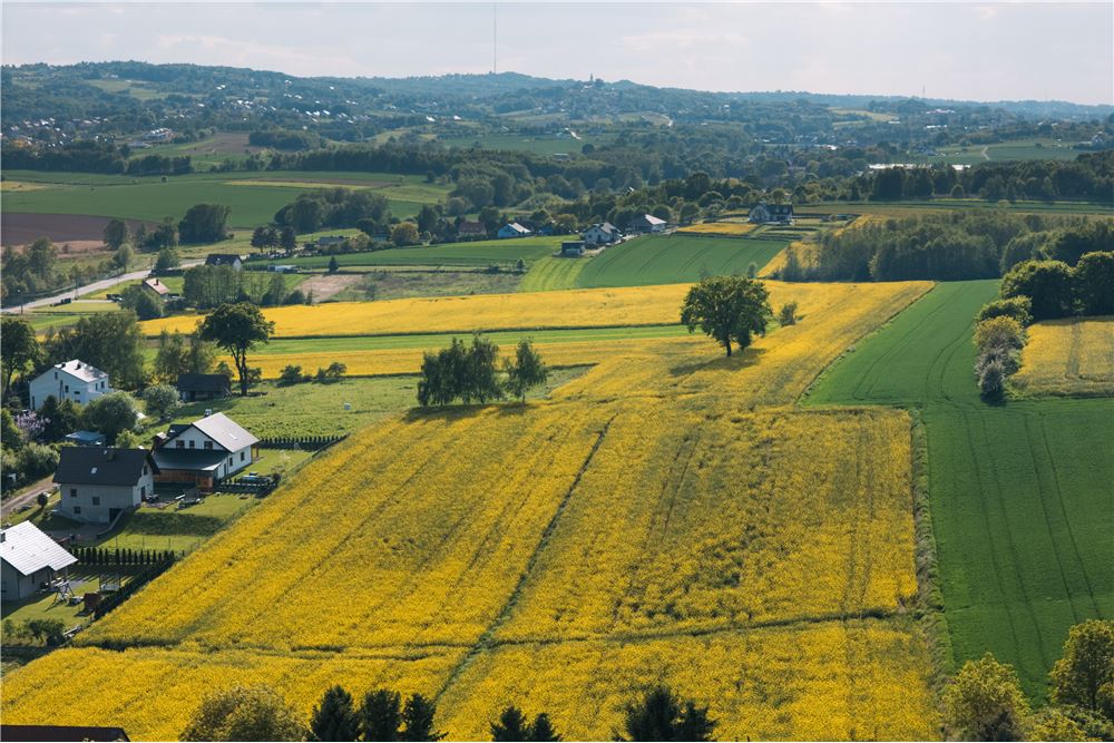 Działka budowlana - Sprzedaż - Biskupice, Polska - 26 - 800241005-202