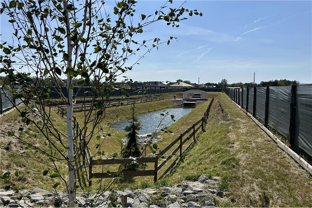 Nieruchomość gruntowa - Sprzedaż - Rudze, Polska - 4 - 800061103-175