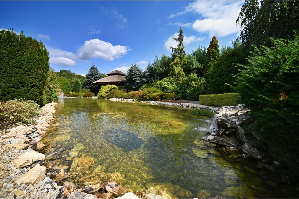 Rezydencja/Willa/Dworek - Sprzedaż - Janowice, Polska - 60.JPG - 470131040-436