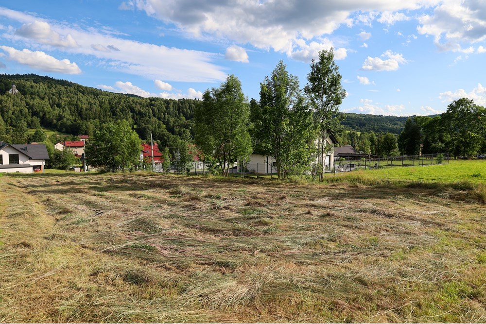 Działka - Sprzedaż - Ślemień, Polska - IMG_1044.jpg - 800061130-24