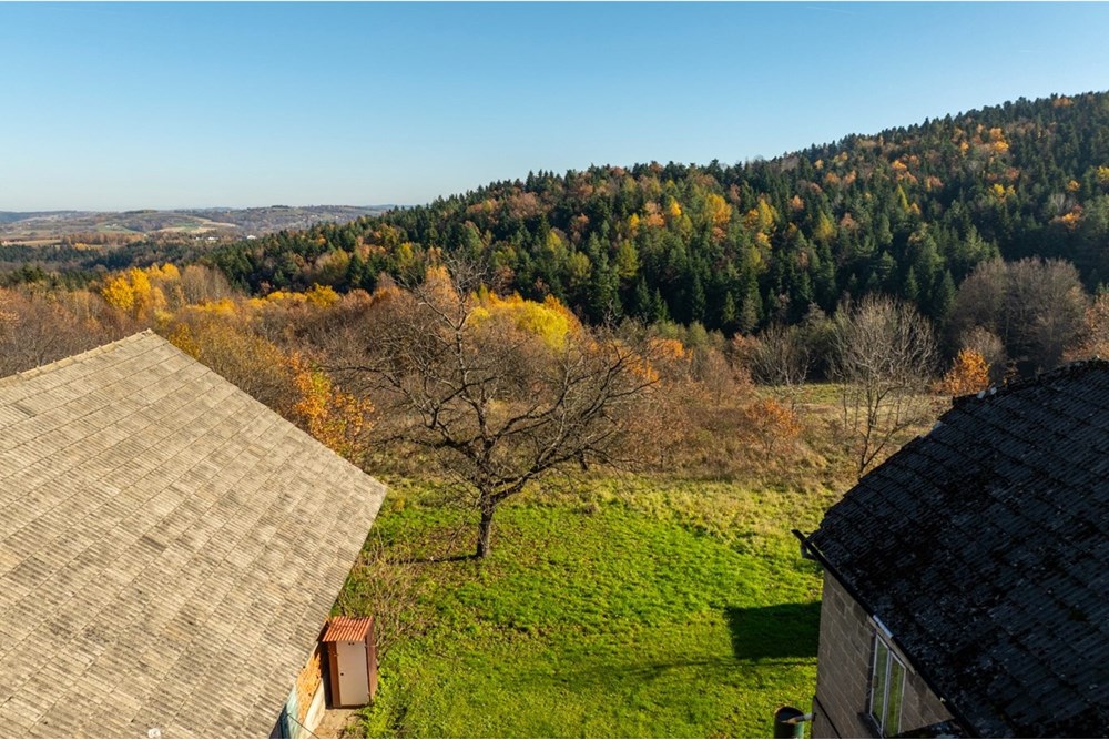 Dom wolnostojący - Sprzedaż - Krasne-Lasocice, Polska - 20251107-DJI_0649-HDR.jpg - 800241017-143