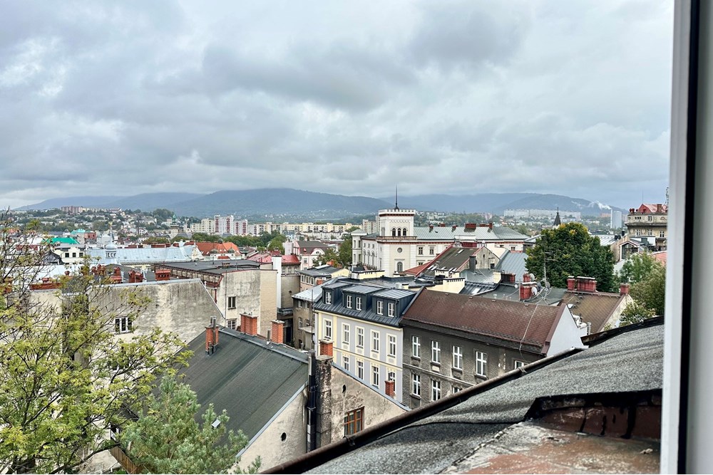 Mieszkanie - Sprzedaż - Bielsko-Biała, Polska - IMG_9850.jpeg - 800061098-175