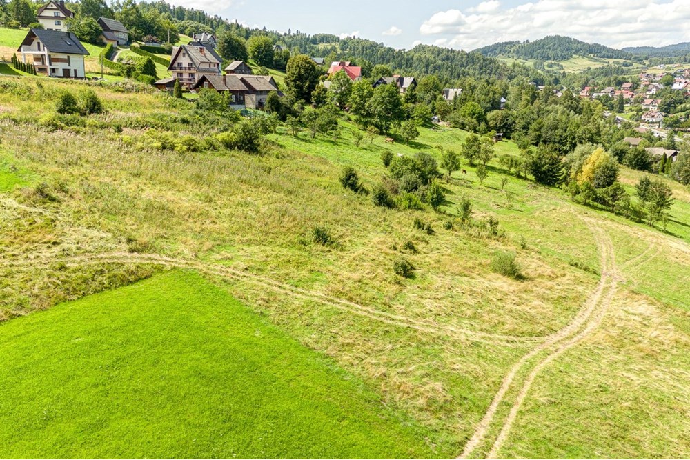 Działka - Sprzedaż - Krośnica, Polska - 0029_pajerski-dzialka-krosnica.jpg - 470131113-349