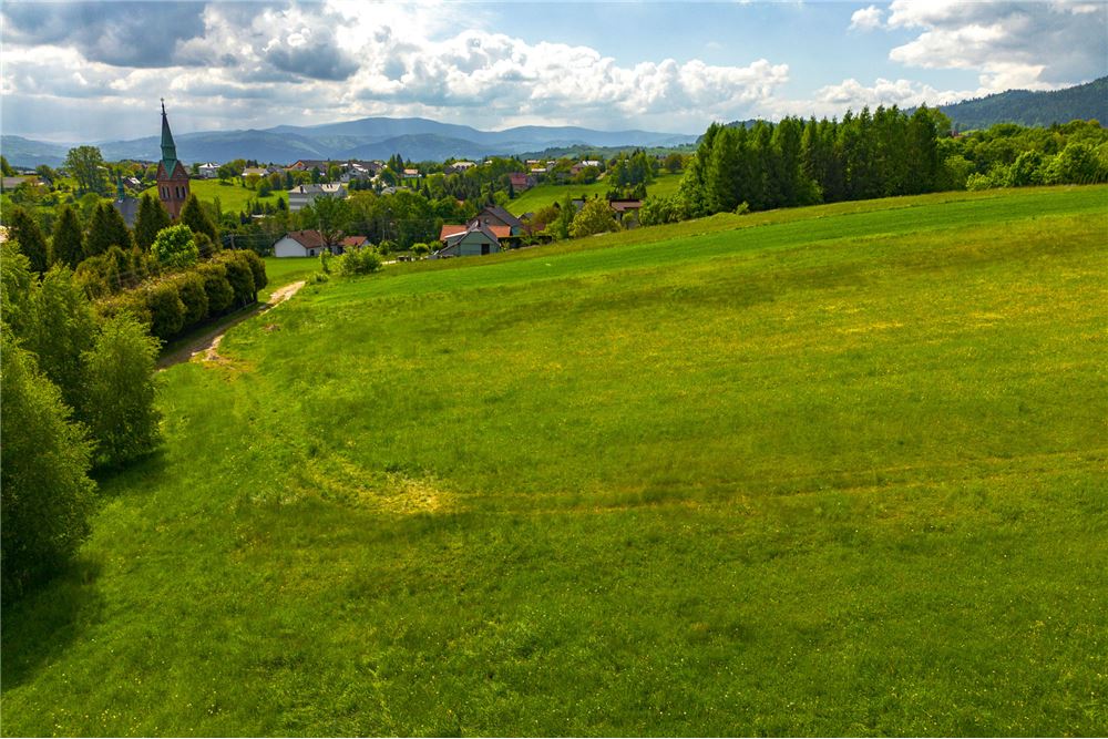 Działka budowlana - Sprzedaż - Lipowa, Polska - 3 - 800061107-97