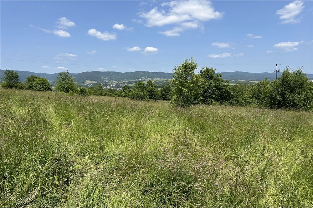 Działka budowlana - Sprzedaż - Rychwałd, Polska - 81 - 800061103-169