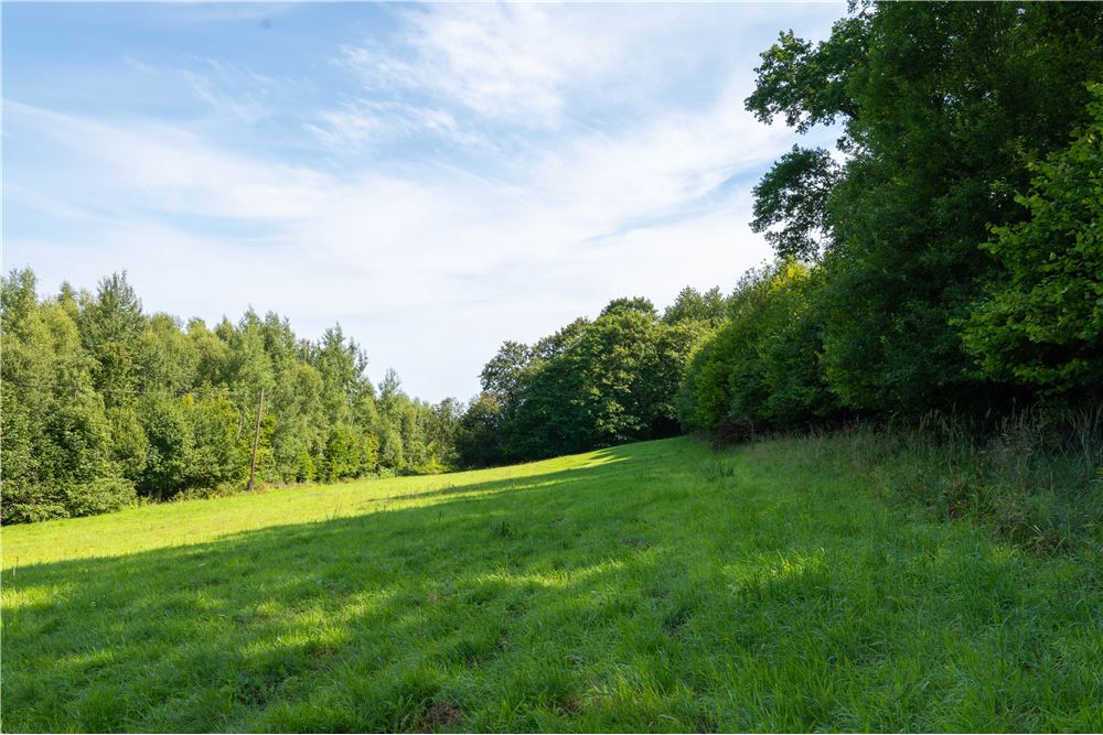 Działka - Sprzedaż - Tarnawa Dolna, Polska - 54 - 800061116-22