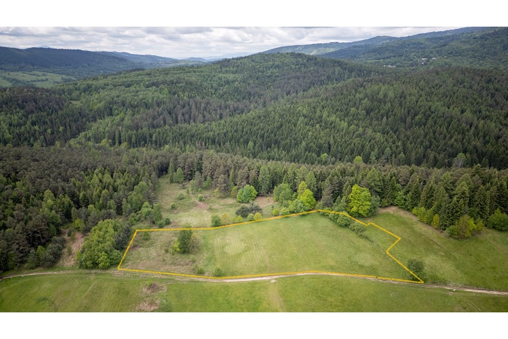 Działka - Sprzedaż - Krzeszów, Polska - Działka 295.000 1.jpg - 470131112-5