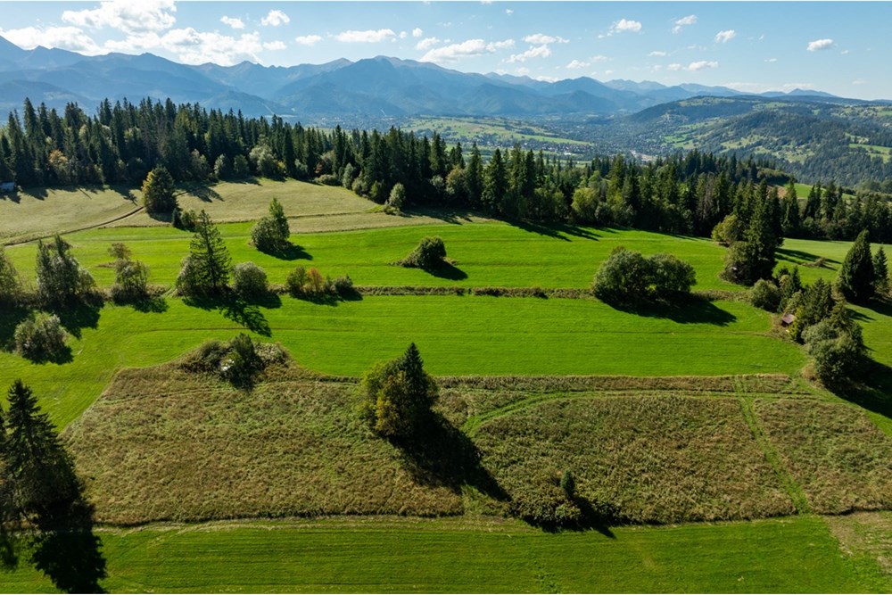 Nieruchomość gruntowa - Sprzedaż - Poronin, Polska - 20250922-DJI_0924-HDR (2).jpg - 470151039-63