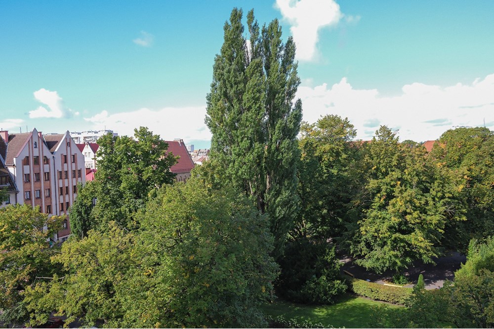 Budynek - Sprzedaż - Kołobrzeg, Polska - widokratuszowa.jpg - 790221001-7