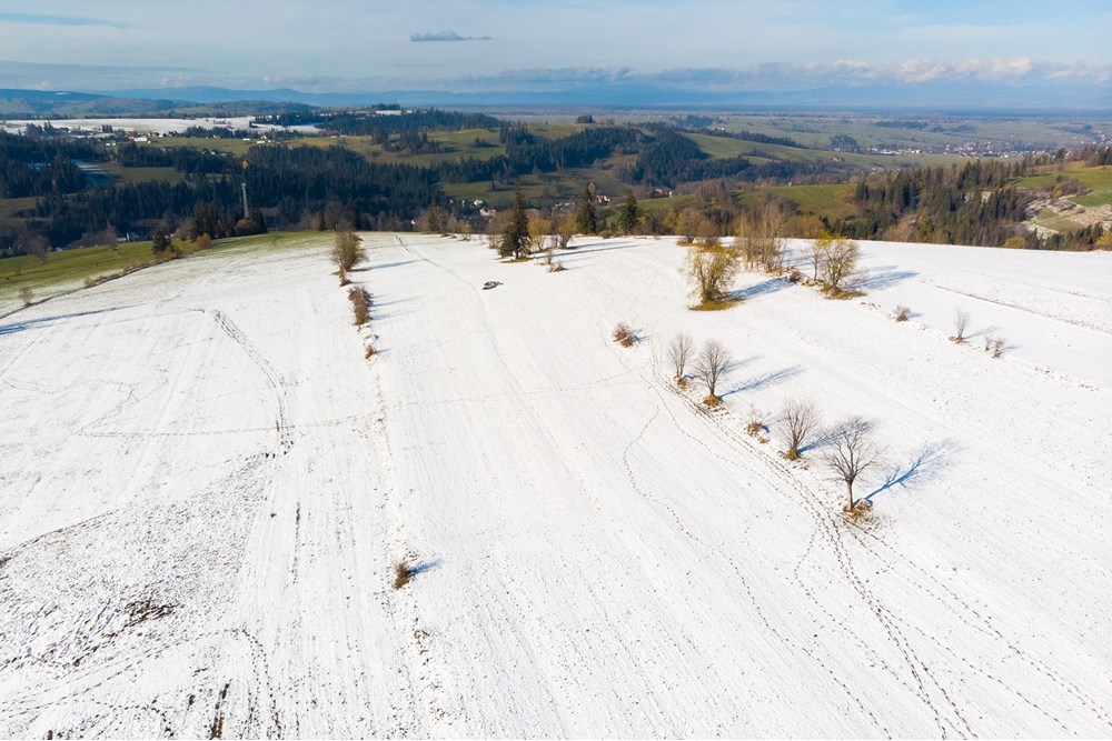 Działka - Sprzedaż - Ratułów, Polska - DJI_0415.jpg - 470151035-149