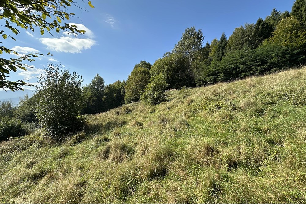 Działka budowlana - Sprzedaż - Międzybrodzie Bialskie, Polska - IMG_1830.jpg - 800061103-193