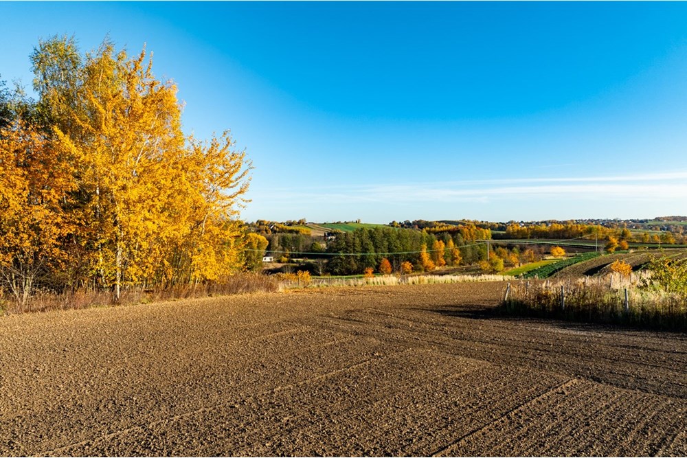 Działka budowlana - Sprzedaż - Trąbki, Polska - 20251031-DJI_0002-HDR.jpg - 800241005-219