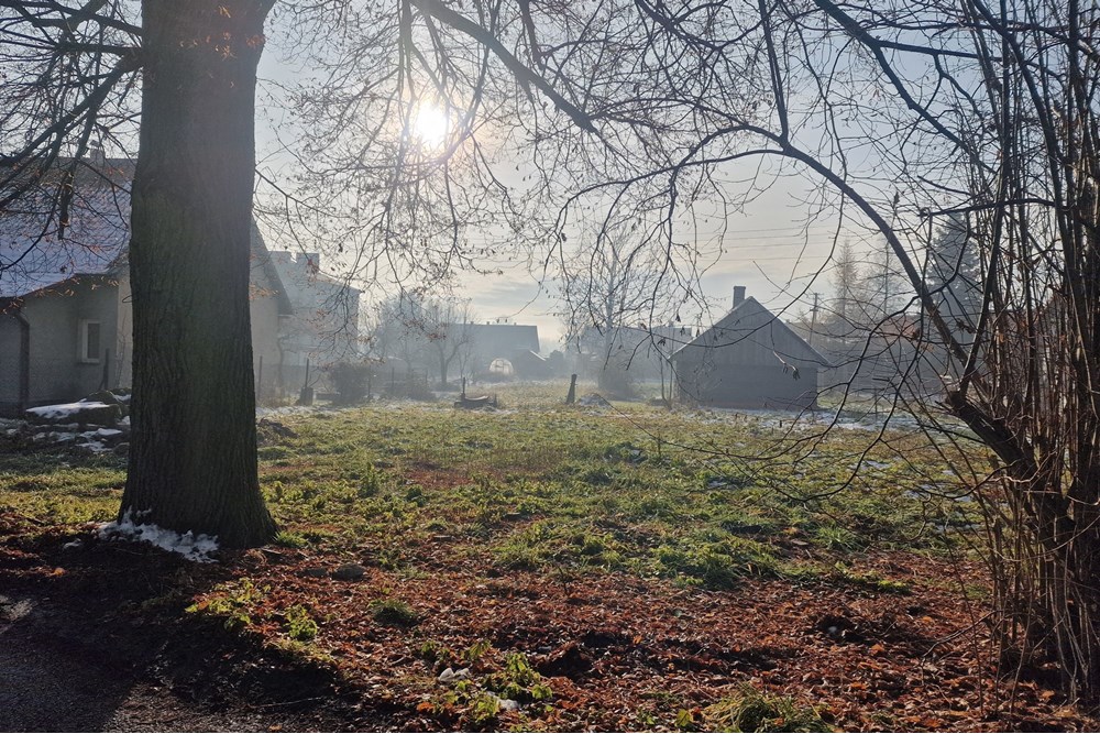 Działka budowlana - Sprzedaż - Rybarzowice, Polska - 20251204_105025.jpg - 800061028-548