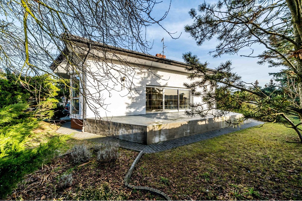 Biznes - Sprzedaż - Luboń, Polska - DSC00401.jpg - 790121027-85