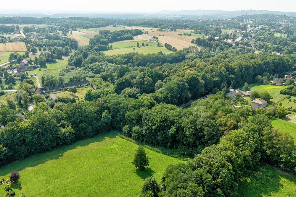 Rezydencja/Willa/Dworek - Sprzedaż - Poręba Żegoty, Polska - 0006_dworek-poreba-zegoty.jpg - 470131113-347