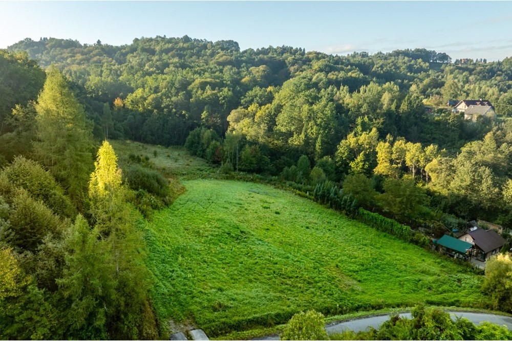 Działka - Sprzedaż - Włosań, Polska - 20250927-DJI_0467-HDR.jpg - 800241010-104