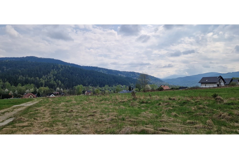 Dom wolnostojący - Sprzedaż - Jeleśnia, Polska - 20250422_103127.jpg - 470131058-361