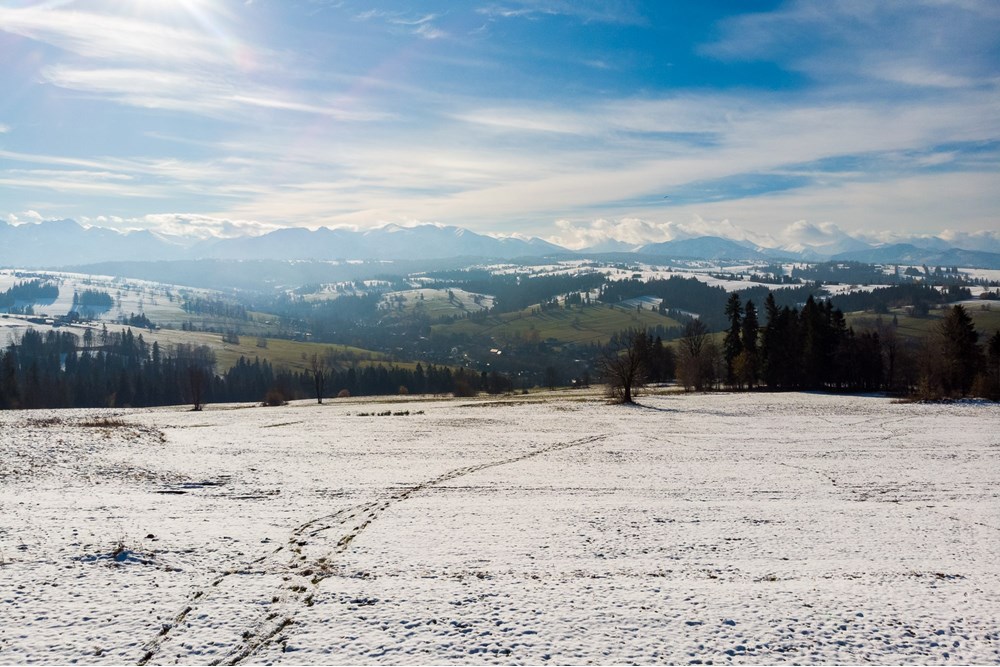 Działka - Sprzedaż - Ratułów, Polska - DJI_0404.jpg - 470151035-149