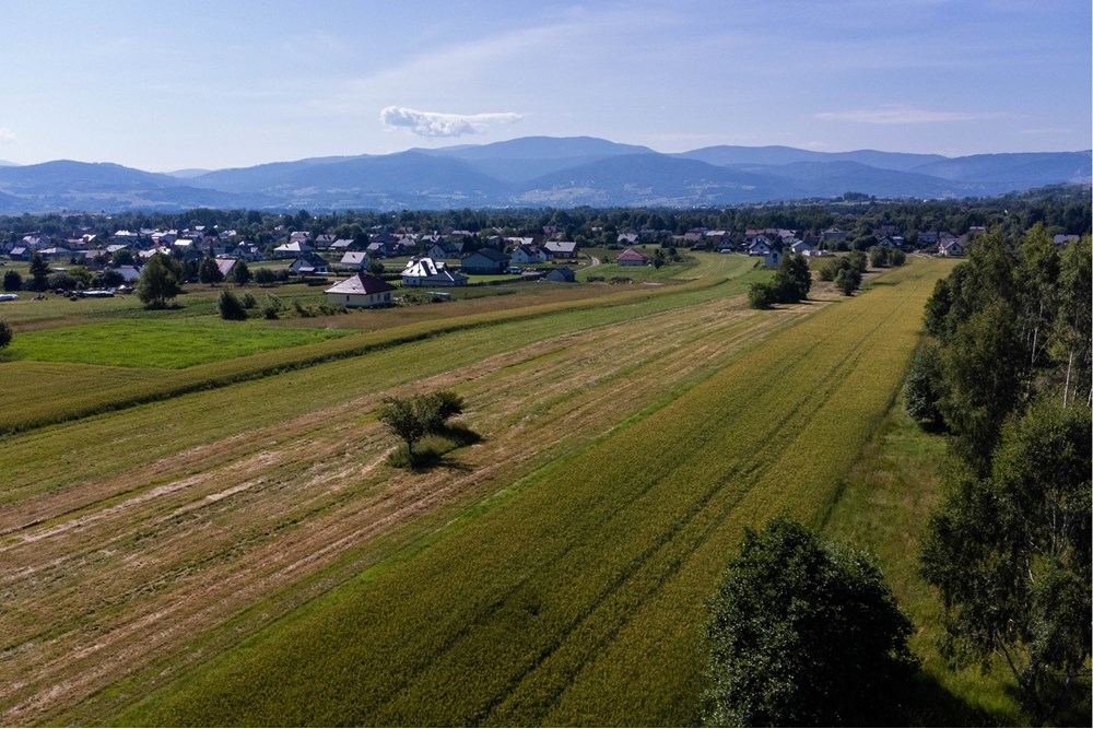 Działka budowlana - Sprzedaż - Lipowa, Polska - Działka_lipowa-11.jpg - 800061116-16