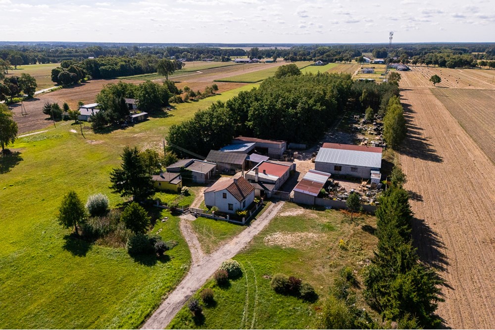 Nieruchomość gruntowa - Sprzedaż - Dalików, Polska - działka-23.jpg - 470291003-12