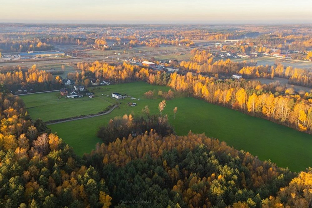 Działka budowlana - Sprzedaż - Ostrowik, Polska - DJI_20251105072817_0025_D.jpg - 810131026-128