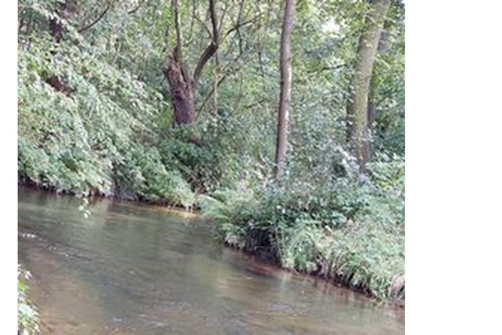 Działka - Sprzedaż - Kęty, Polska - kety rzeka 3.jpg - 470131109-33