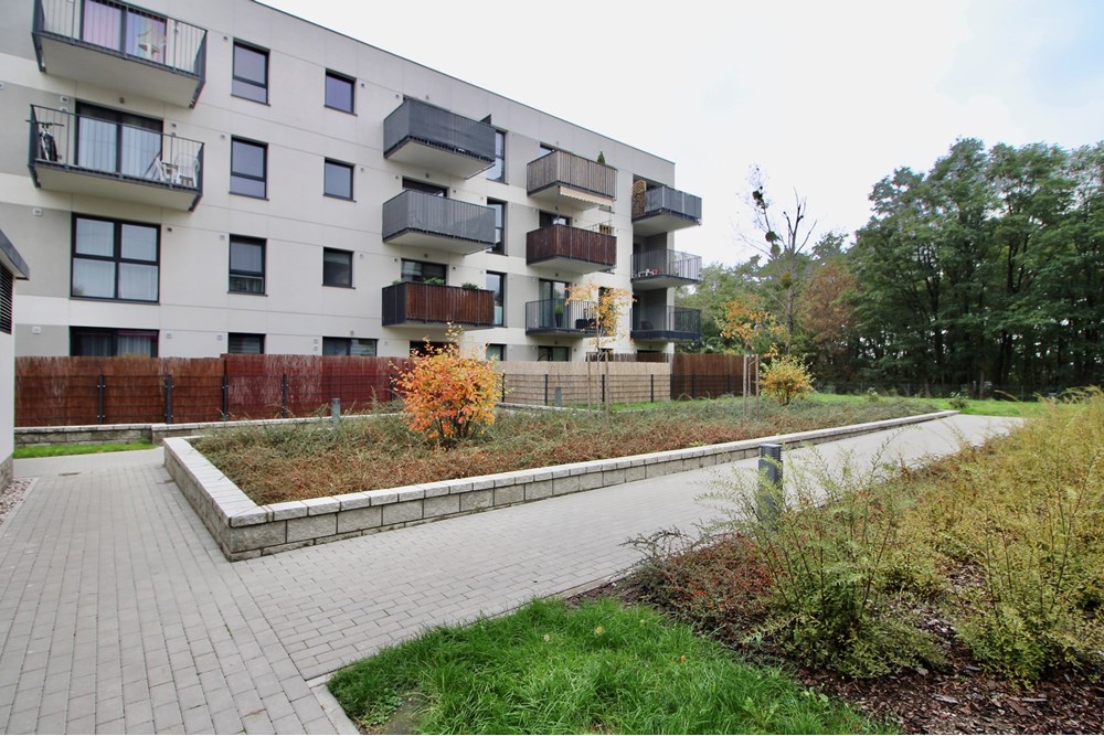 Mieszkanie - Wynajem - Warszawa, Polska - IMG_7659.jpeg - 810051053-2