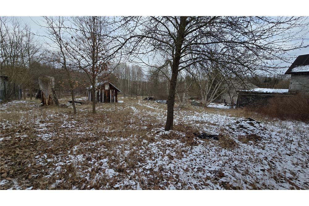 Działka - Sprzedaż - Sierzchów, Polska - 13 - 810051040-246