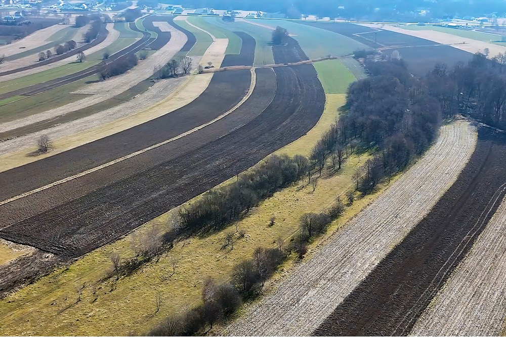 Nieruchomość gruntowa - Sprzedaż - Rzezawa, Polska - 1e.jpg - 800241049-4