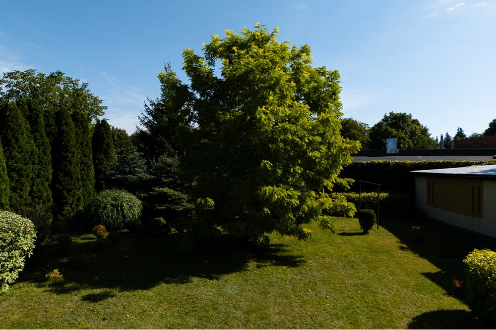 Dom wolnostojący - Sprzedaż - Zgierz, Polska - Prosta 16-9.jpg - 470291004-260