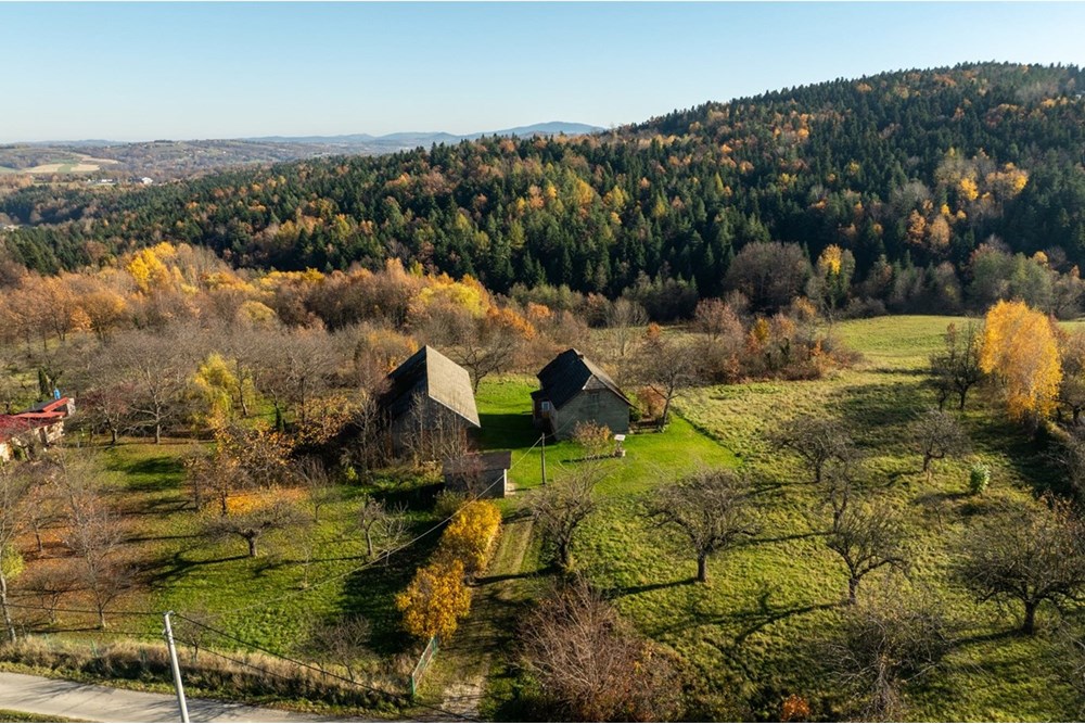 Dom wolnostojący - Sprzedaż - Krasne-Lasocice, Polska - 20251107-DJI_0619-HDR.jpg - 800241017-143