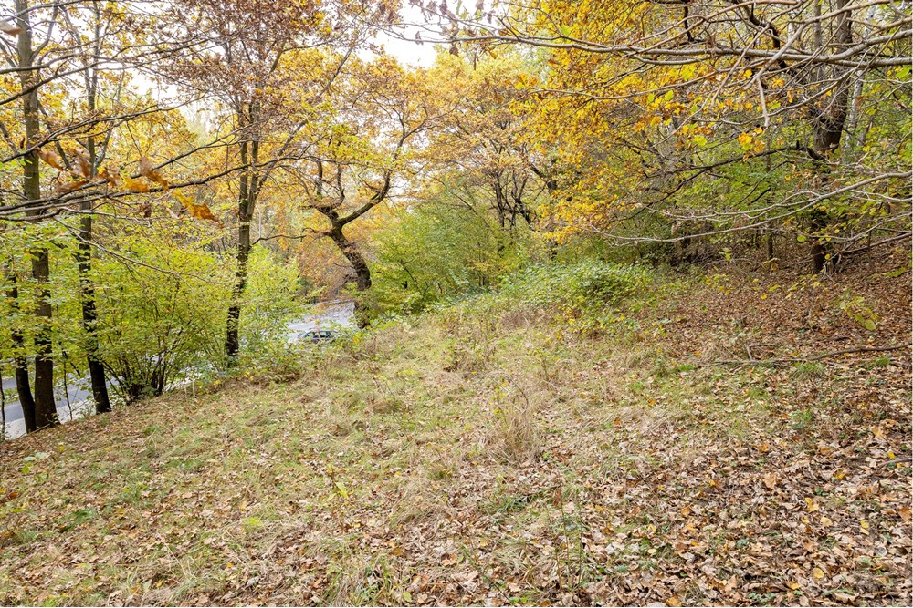 Działka - Sprzedaż - Żywiec, Polska - IMG_8523.jpg - 800061130-26