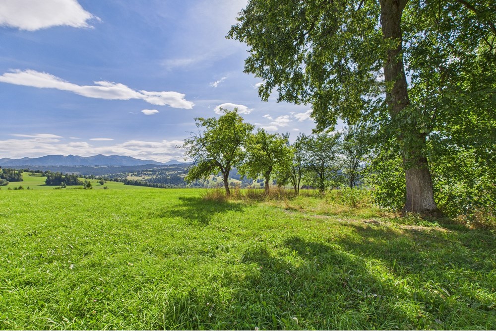 Dom wolnostojący - Sprzedaż - Czerwienne, Polska - CAM05558G0-PR0017-STILL014.jpg - 470151024-447