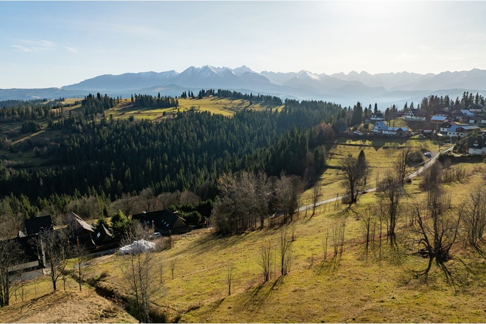 Działka - Sprzedaż - Rzepiska, Polska - 20251114-DJI_0878-HDR.jpg - 800091045-42