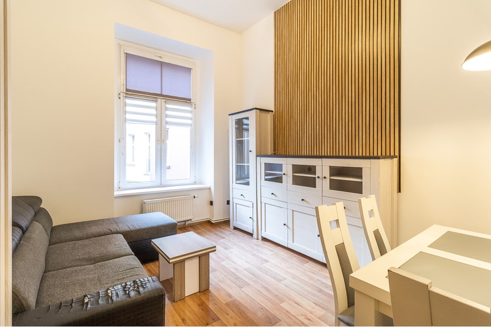 Mieszkanie - Wynajem - Łódź, Polska - Mieszkanie-na-wynajem-Lodz-2.jpg - 470191057-46