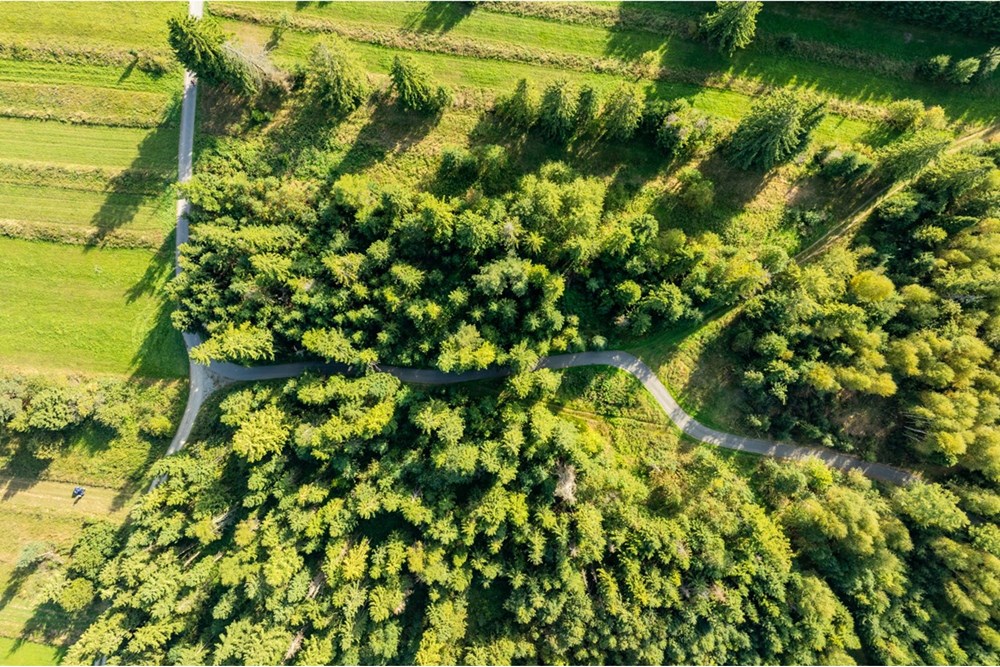 Nieruchomość gruntowa - Sprzedaż - Czarny Dunajec, Polska - 20250828-DJI_0214-HDR.jpg - 470151039-62