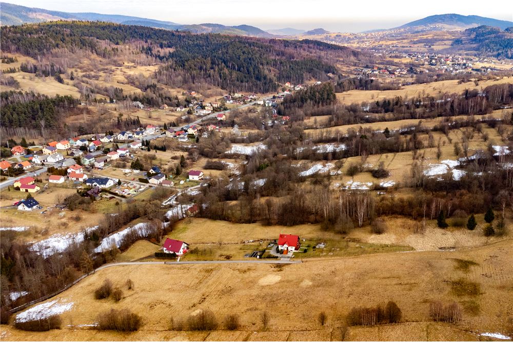 Działka budowlana - Sprzedaż - Las, Polska - 26 - 800061103-198