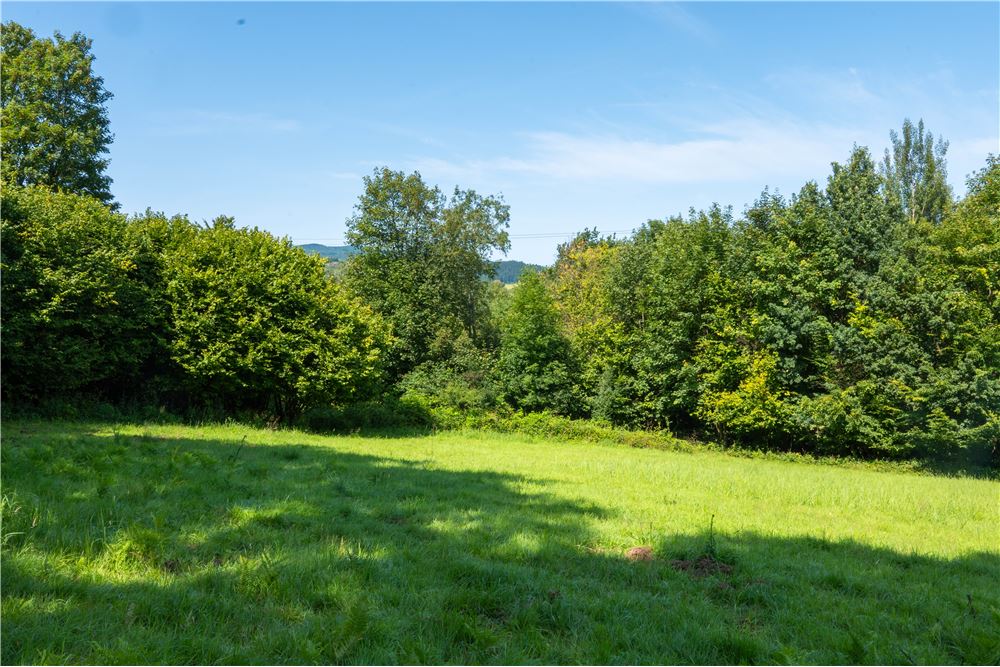 Działka - Sprzedaż - Tarnawa Dolna, Polska - 50 - 800061116-22