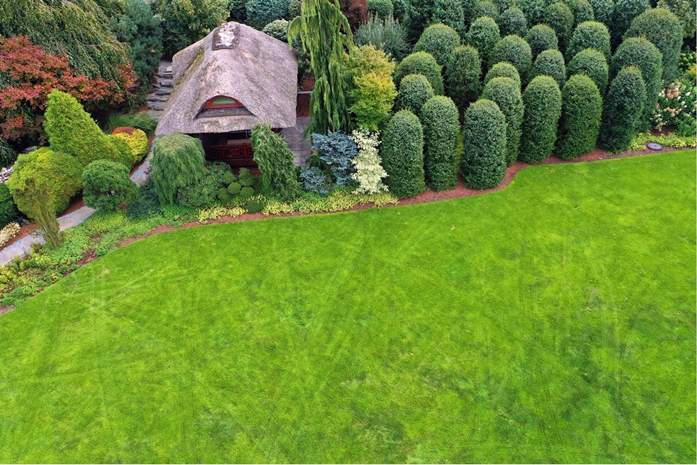 Rezydencja/Willa/Dworek - Sprzedaż - Janowice, Polska - 24.JPG - 470131040-436