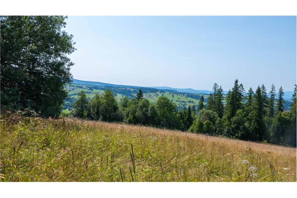 Nieruchomość gruntowa - Sprzedaż - Dzianisz, Polska - 37 - 800061116-23