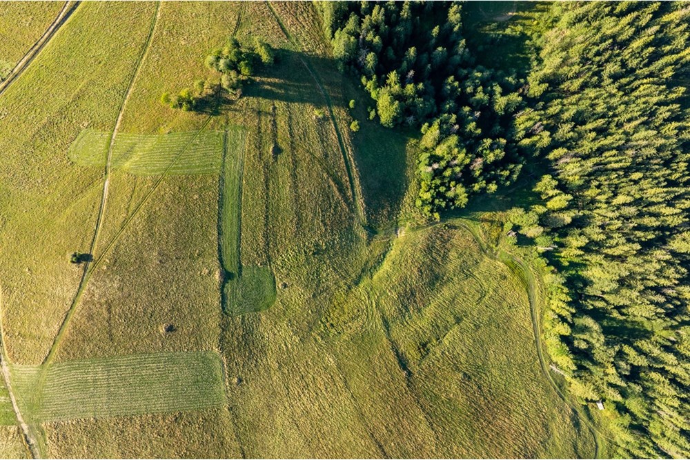 Działka - Sprzedaż - Zakopane, Polska - 20250826-DJI_0043-HDR.jpg - 470151024-450