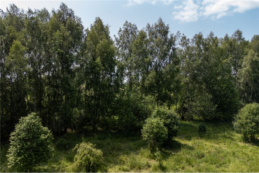 Działka budowlana - Sprzedaż - Rychwałd, Polska - 74 - 800061103-169