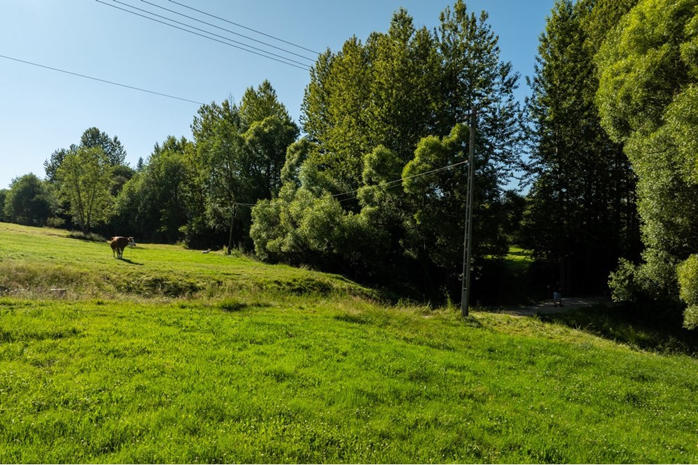Działka budowlana - Sprzedaż - Morawczyna, Polska - DJI_0724-HDR-22.jpg - 470151039-45