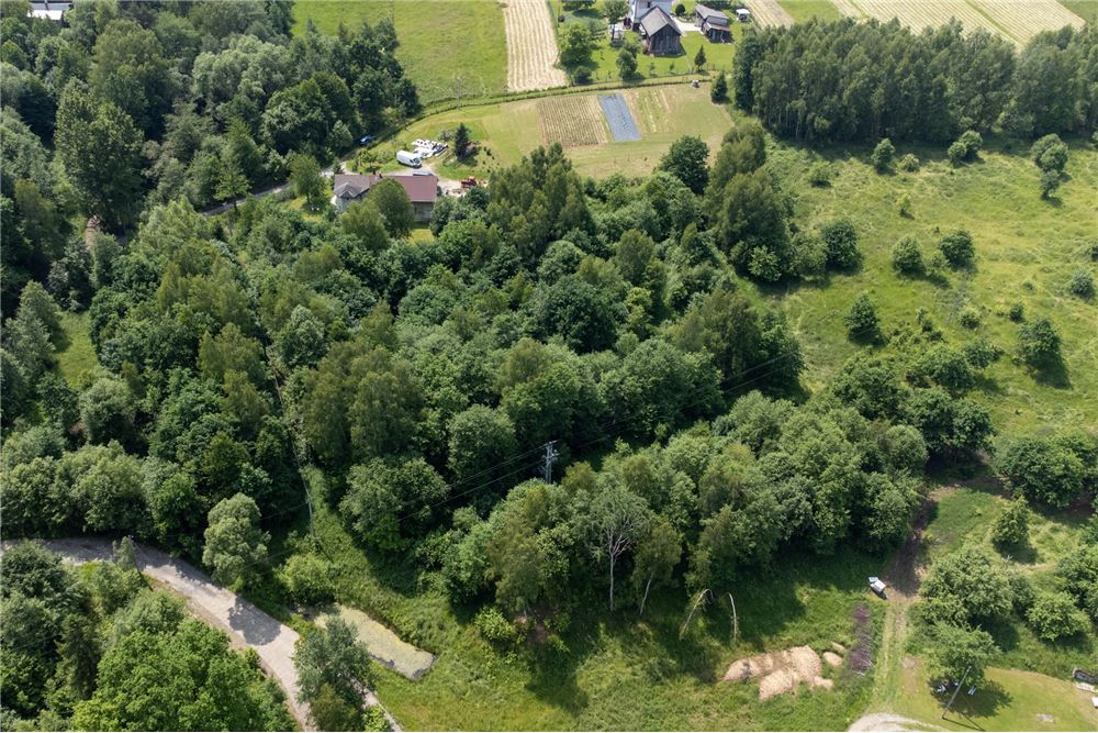 Działka budowlana - Sprzedaż - Rychwałd, Polska - 51 - 800061103-169