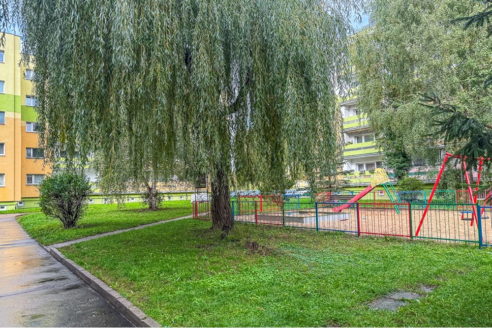 Mieszkanie - Wynajem - Łódź, Polska - Mieszkanie-na-wynajem-Lodz-11.jpg - 470191035-113