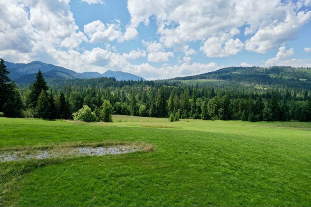 Działka budowlana - Sprzedaż - Witów, Polska - 16.jpg - 470151015-493