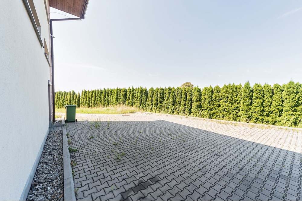 Hala - Sprzedaż - Czaniec, Polska - CG15_035D.jpg - 800061100-89