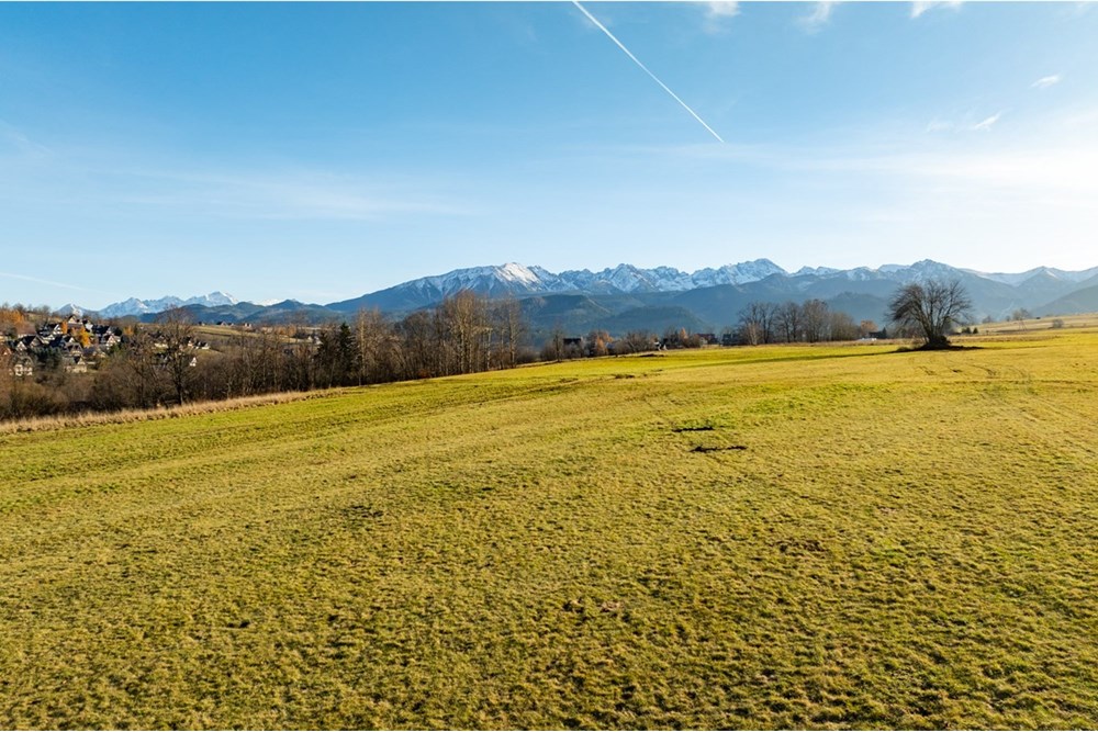 Działka - Sprzedaż - Zakopane, Polska - agent nieruchomosci (6).jpg - 800091026-89